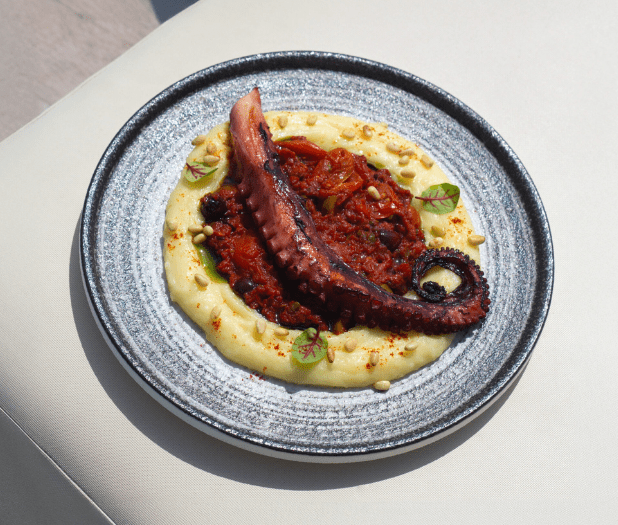 OCTOPUS
