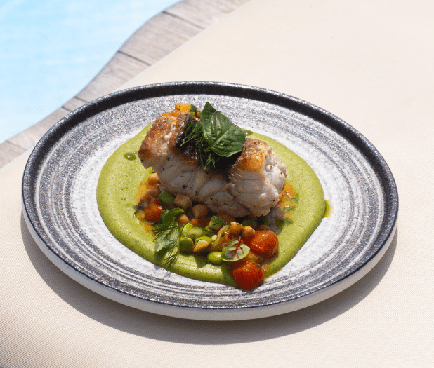 RED SNAPPER
