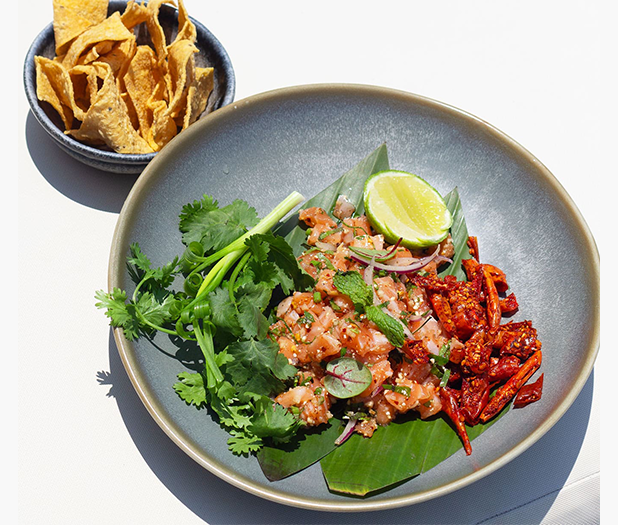 laarb salmon